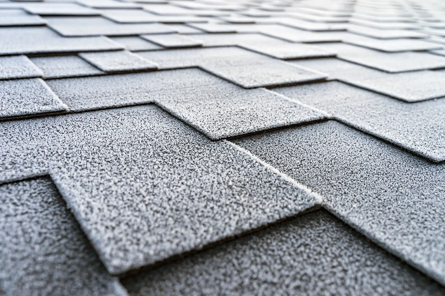 Roofing texture background used behind contractor SEO service highlights.