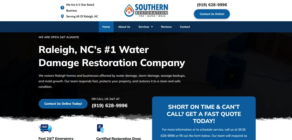 Water Damage South website preview